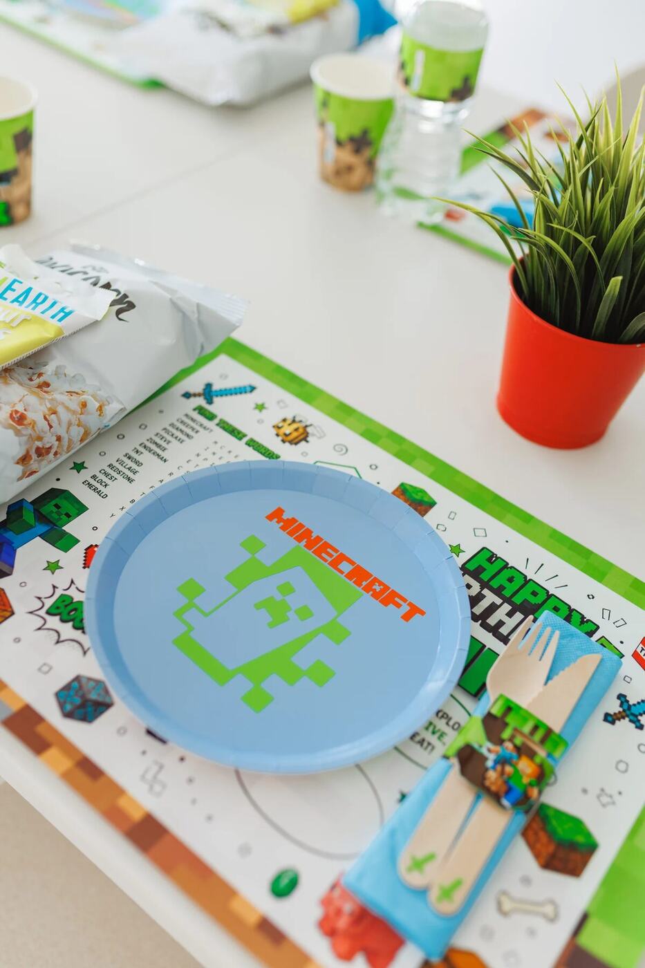 Minecraft themed plate and place setting with activity placemat
